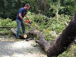 Best Tree Risk Assessment  in Marlton, MD