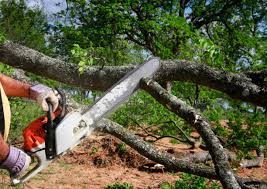 Best Utility Line Clearance  in Marlton, MD